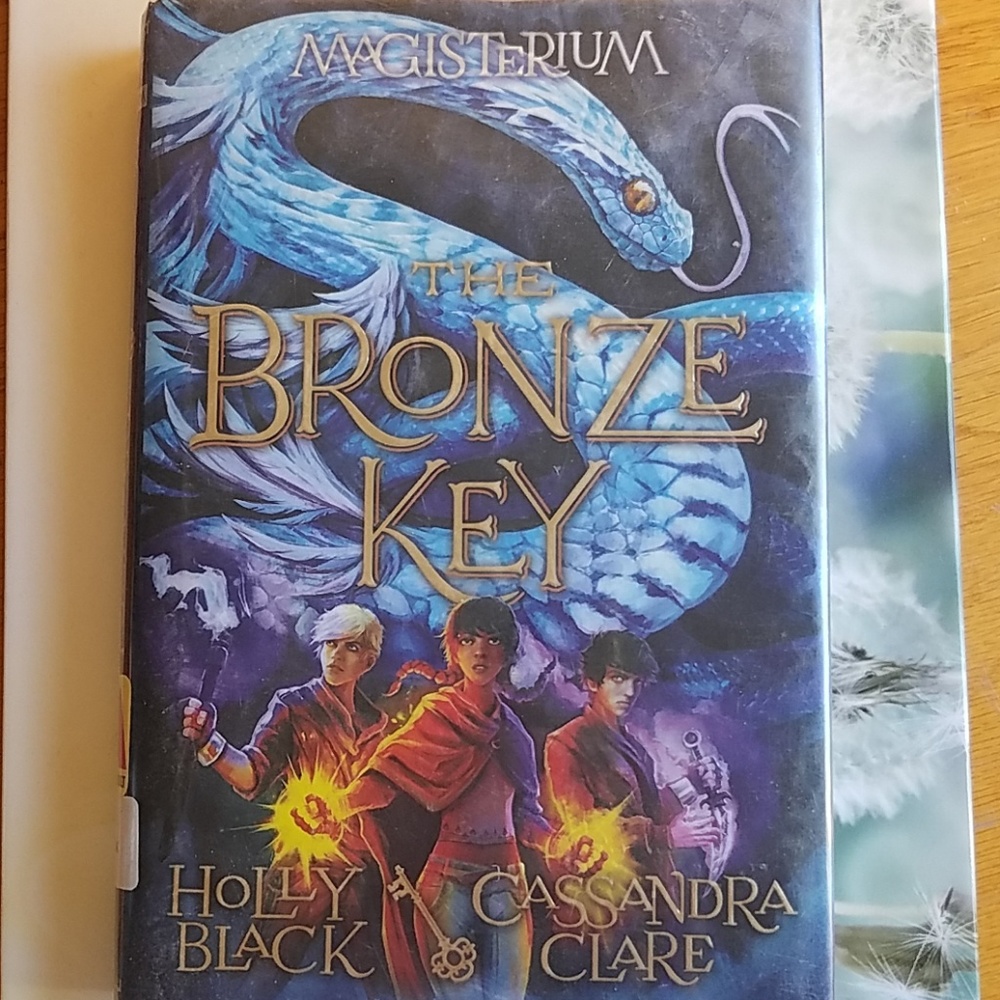 The Bronze Key